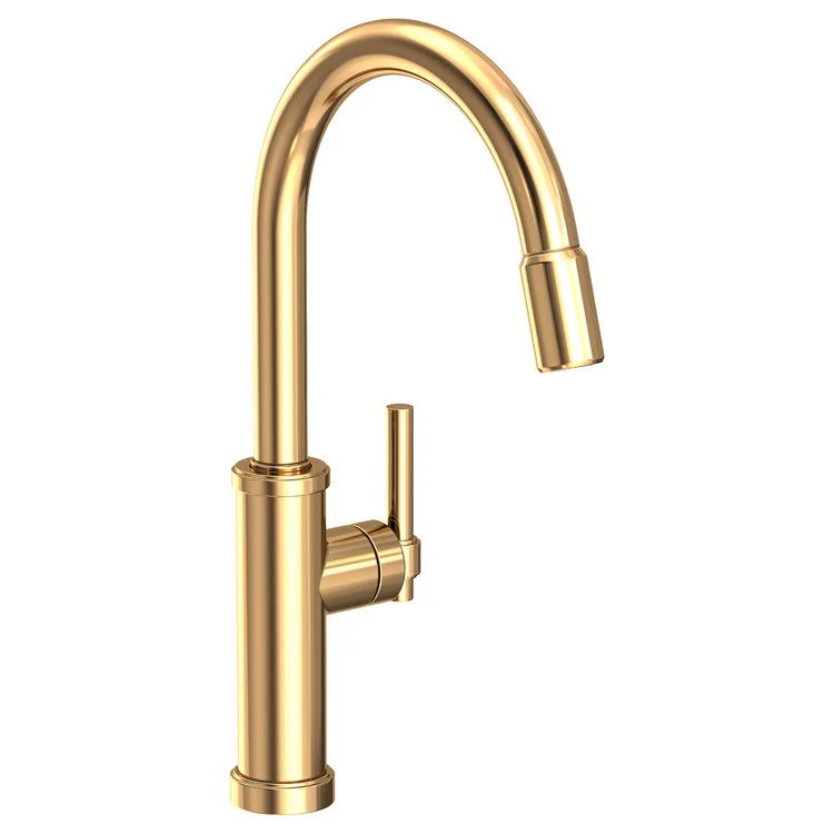 Kitchen Faucet Seager 1 Lever ADA Polished Brass Uncoated Living Pull Down Spout Height 10-4/5 Inch 1.8 Gallons per Minute - Frankwebs