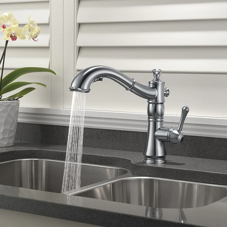 Cassidy Single Handle Pull Out Kitchen Faucet - Frankwebs