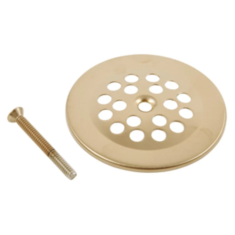 Drain Strainer Dome with Screw Brilliance Champagne Bronze 10-24 x 1-3/4 Inch - Frankwebs