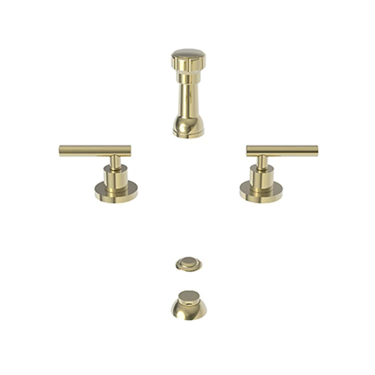 Bidet Faucet East Linear 2 Lever ADA Polished Chrome - Frankwebs