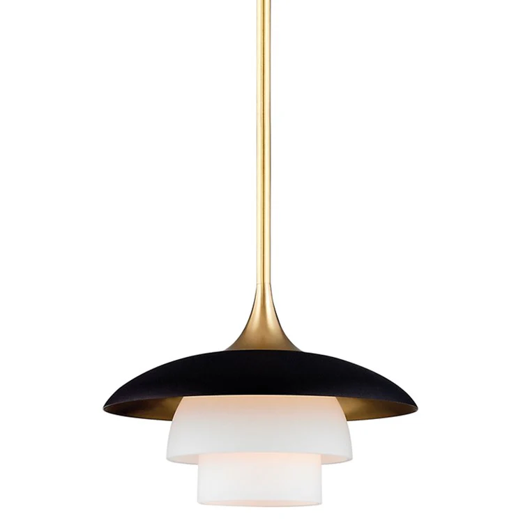 Barron Single-Light Pendant - Frankwebs