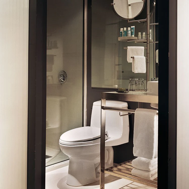 UltraMax Elongated High-Efficiency One-Piece Toilet with SoftClose Seat - Frankwebs