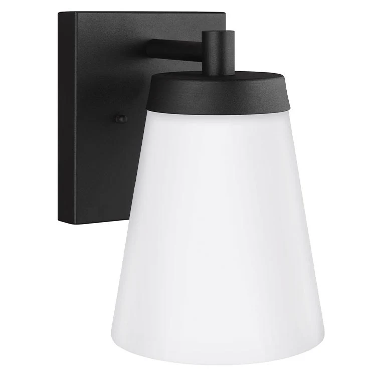 Renville Single-Light LED Large Outdoor Wall Sconce - Frankwebs