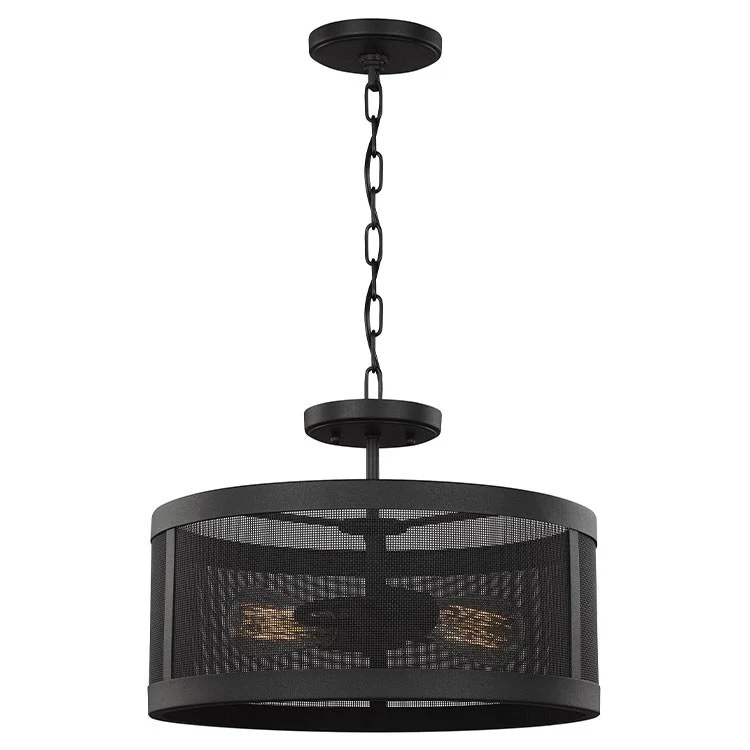 Gereon Two-Light Convertible Semi-Flush Mount Ceiling Fixture/Pendant - Frankwebs