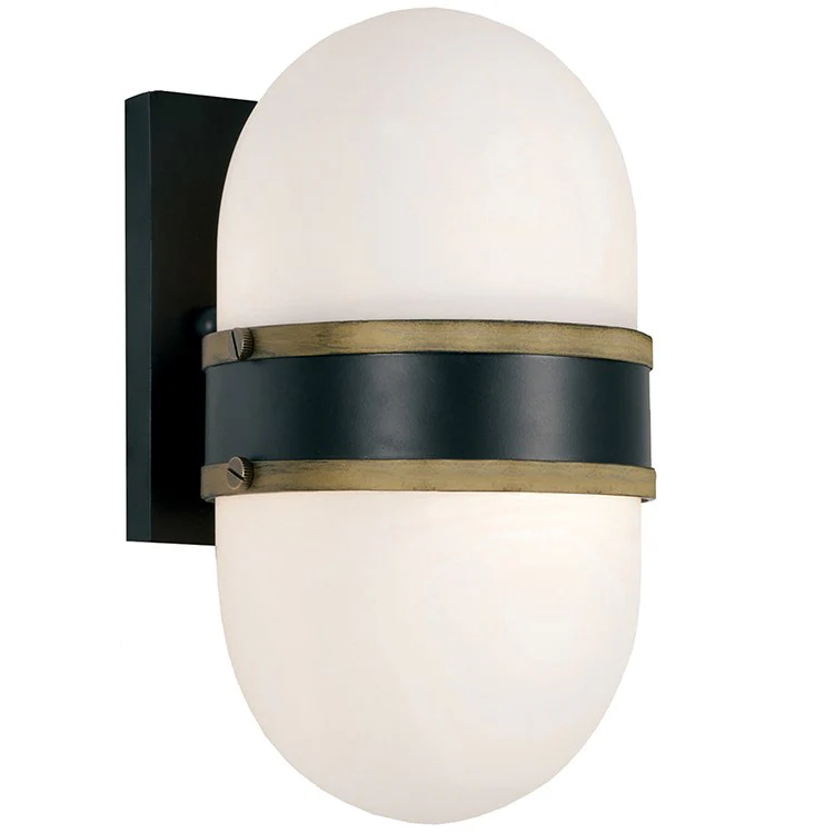 Capsule Single-Light Outdoor Wall Sconce - Frankwebs