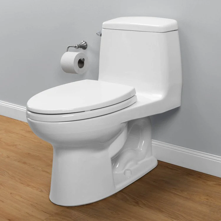 Eco UltraMax Elongated One-Piece Toilet with SoftClose Seat - Frankwebs