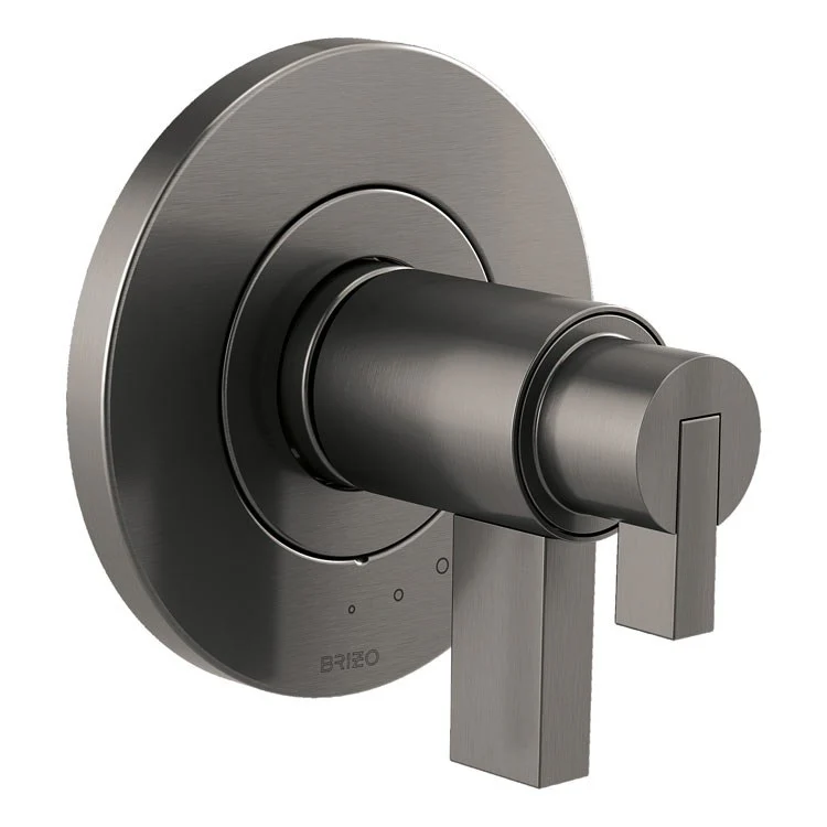 Litze TempAssure Thermostatic Valve Trim without Handles - Frankwebs