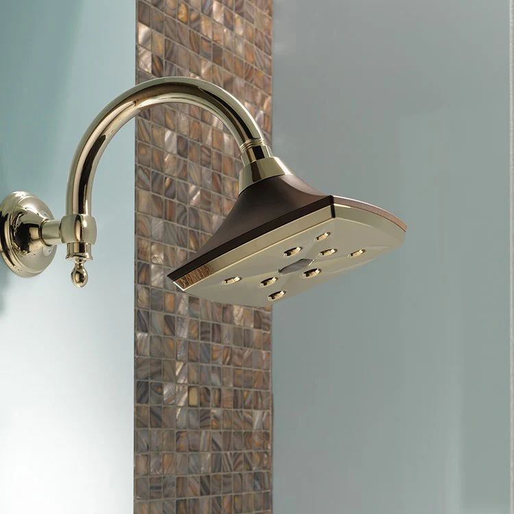 Charlotte H2Okinetic Rainfall Shower Head - Frankwebs