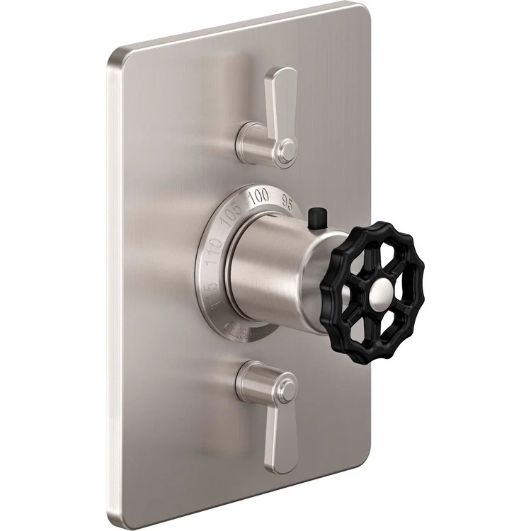 Thermostatic Trim Descanso Works Rectangular StyleTherm with 2 Volume Control 3 Black Wheel/Lever Matte White Brass - Frankwebs