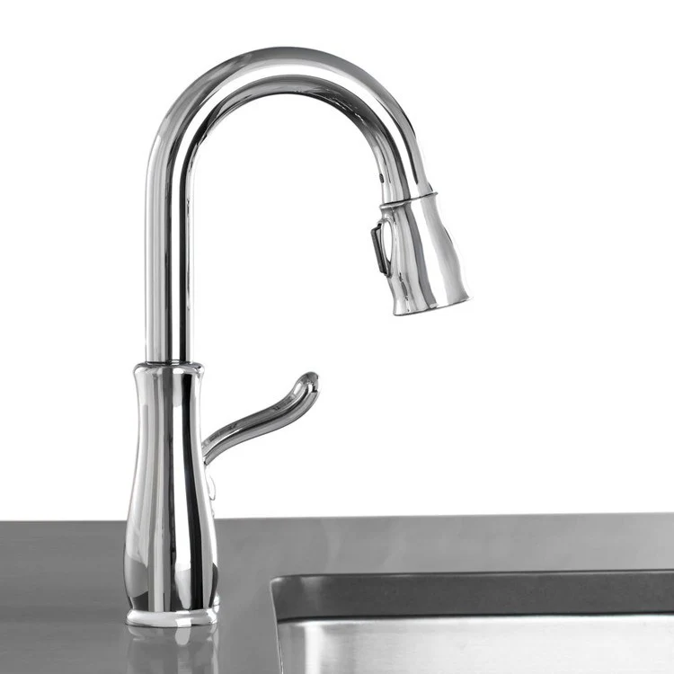 Leland Single Handle Pull Down Bar/Prep Faucet - Frankwebs