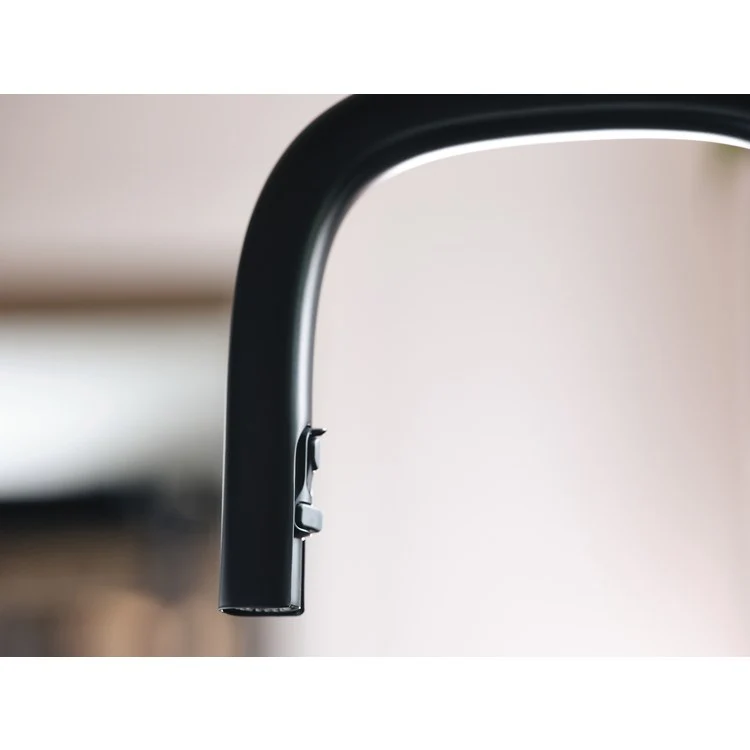 Kitchen Faucet Tenon 1 Lever ADA Matte Black High Arc 1 Hole 1.5 Gallons per Minute - Frankwebs