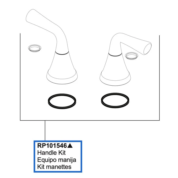 Handle Kit Kayra 2 Lever Brilliance Stainless ADA - Frankwebs