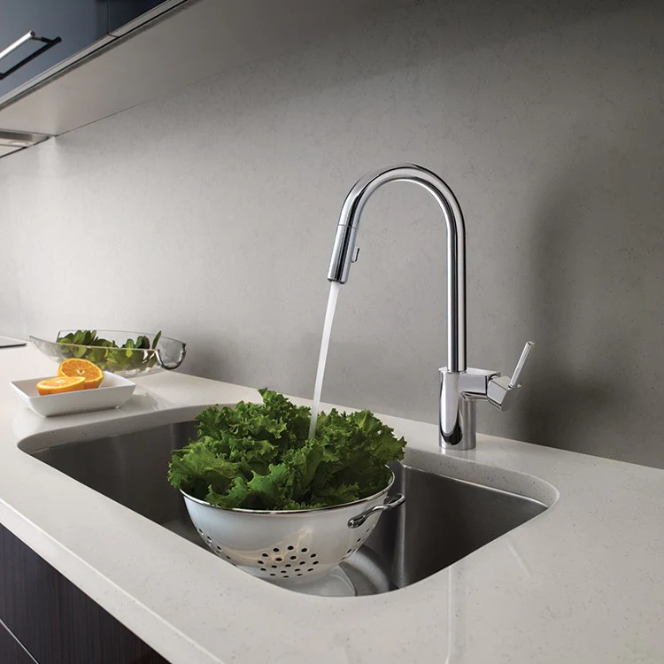 Align Single Handle High Arc Pull Down Kitchen Faucet - Frankwebs
