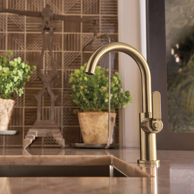 Litze Single Handle Bar Faucet with High-Arc Spout/Industrial Handle - Frankwebs