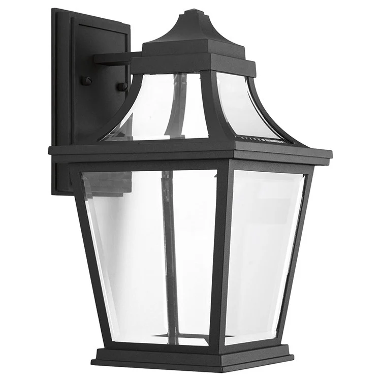 Endorse Single-Light Medium Wall Lantern with AC LED Module - Frankwebs