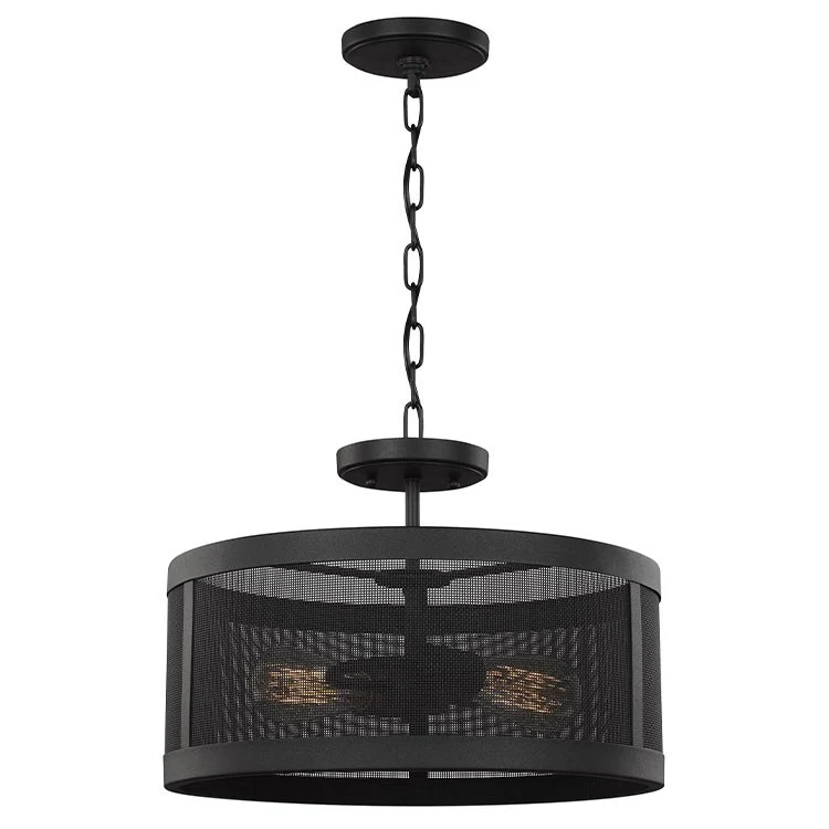 Gereon Two-Light LED Convertible Semi-Flush Mount Ceiling Fixture/Pendant - Frankwebs