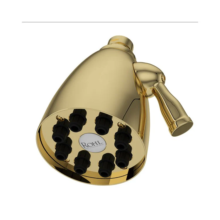 Showerhead Calliano 8 Function Unlacquered Brass 3-5/8 Inch 1.8 Gallons per Minute Round - Frankwebs