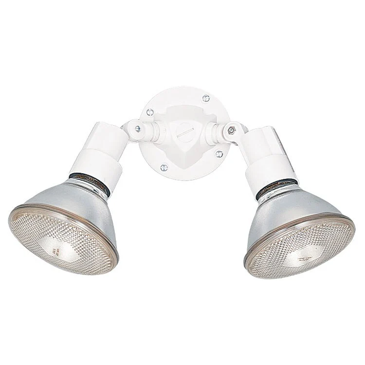Flood Light Two-Light Adjustable Swivel Flood-Light - Frankwebs