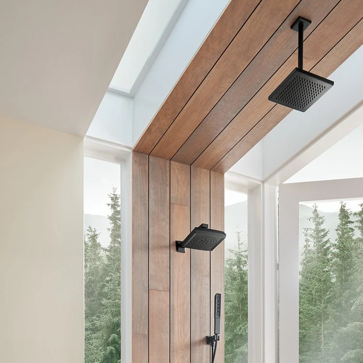 Vettis Ceiling Mount Raincan Shower Head - Frankwebs