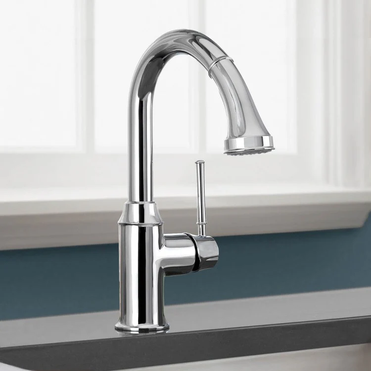 Talis C Single Handle Pull Down Prep Faucet with Dual Spray - Frankwebs