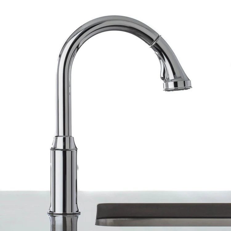 Talis C Single Handle Pull Down Kitchen Faucet with Dual Spray - Frankwebs
