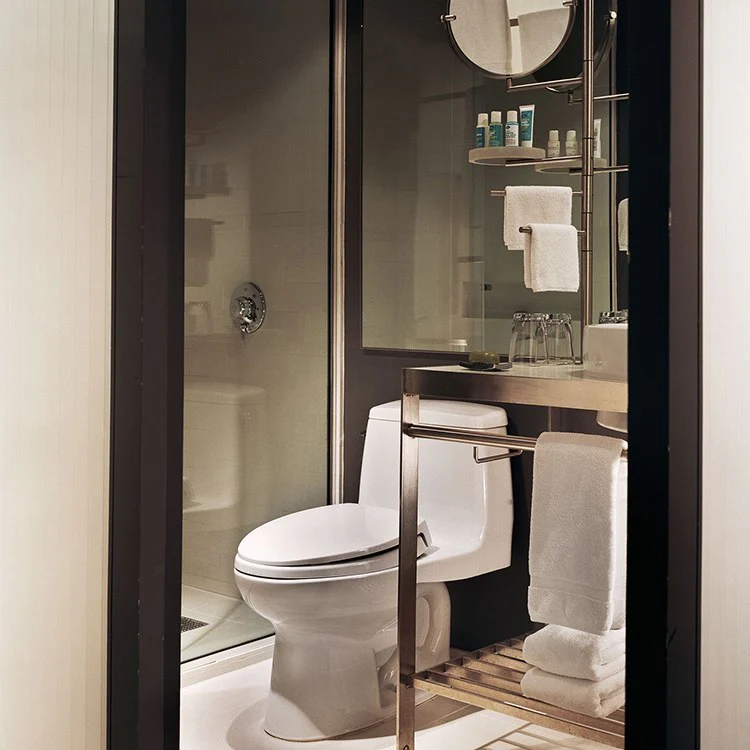 Eco UltraMax Elongated One-Piece Toilet with SoftClose Seat - Frankwebs