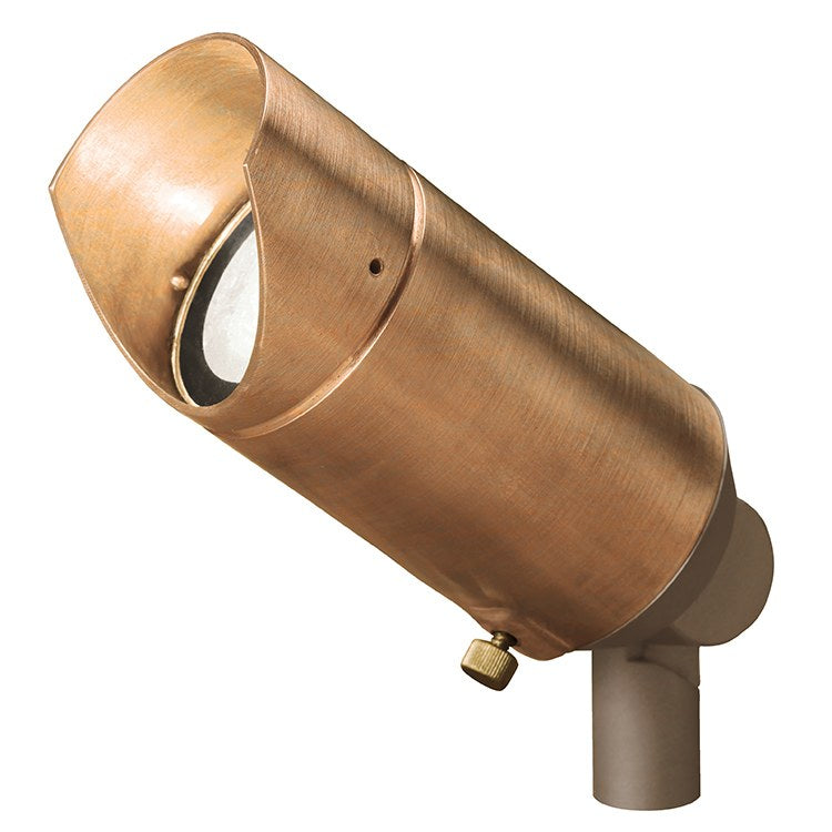 Mini 12-Volt Accent Landscape Light - Frankwebs