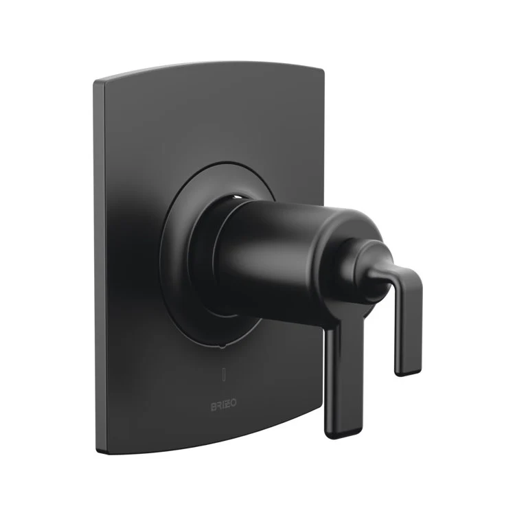 Thermostatic Trim Kintsu TempAssure Valve Only Trim 1 Less Handle Matte Black ADA 1.75 Gallons per Minute Brass - Frankwebs