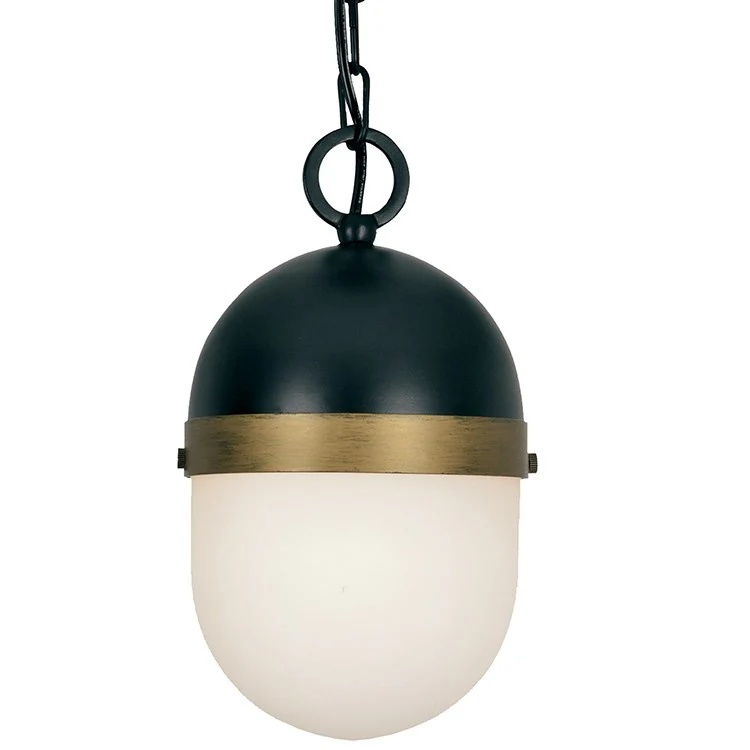 Capsule Single-Light Outdoor Pendant - Frankwebs