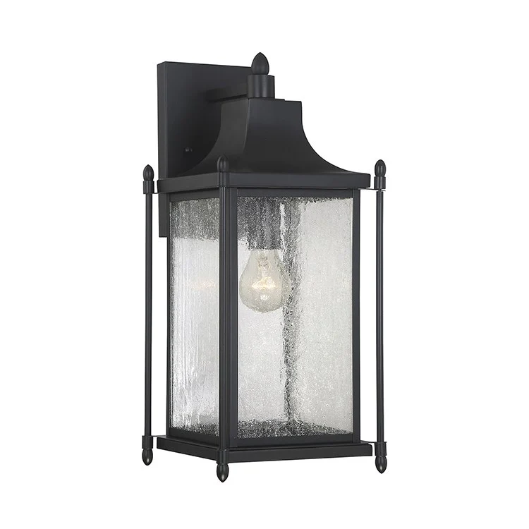 Dunnmore Single-Light Outdoor Wall Mount Lantern - Frankwebs