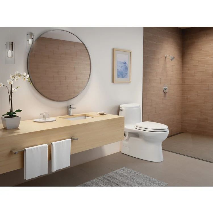 Pressure Balance Valve Trim Oberon Round 1 Lever Polished Chrome ADA for Requires Valve TSPTM - Frankwebs