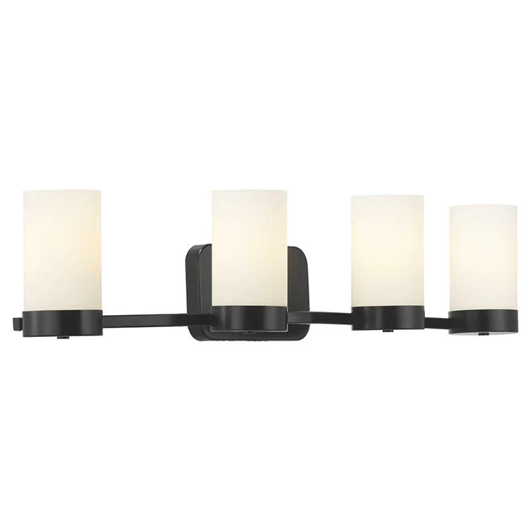Elevate Four-Light Bathroom Vanity Fixture - Frankwebs