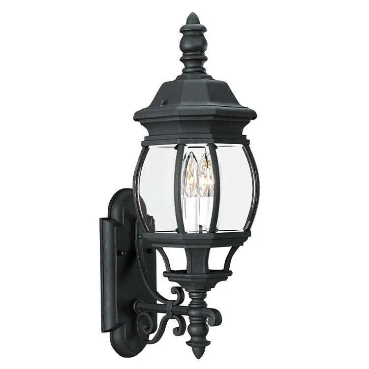 Wynfield Two-Light Outdoor Wall Lantern - Frankwebs