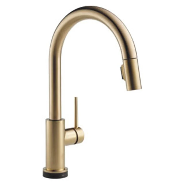 Trinsic VoiceIQ Single Handle Pull-Down Kitchen Faucet with Touch2O Technology - Frankwebs