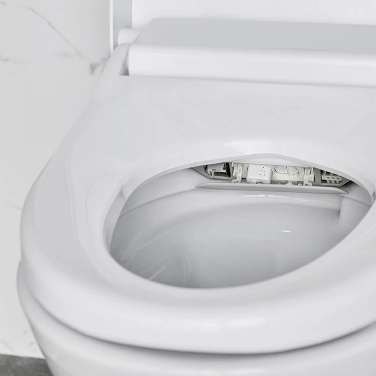 Advanced Clean 100 SpaLet One-Piece Bidet Toilet - Frankwebs