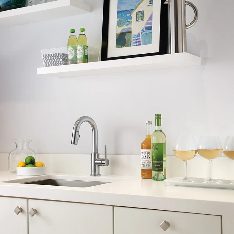 Trinsic Single Handle Pull Down Bar/Prep Faucet - Frankwebs