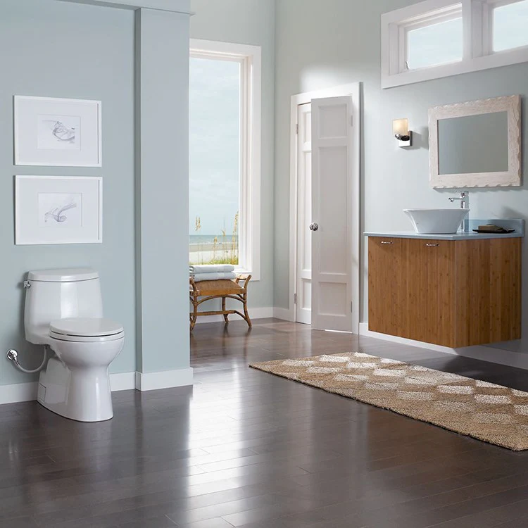 Carlyle II Elongated One-Piece High-Efficiency Toilet with Seat - Frankwebs