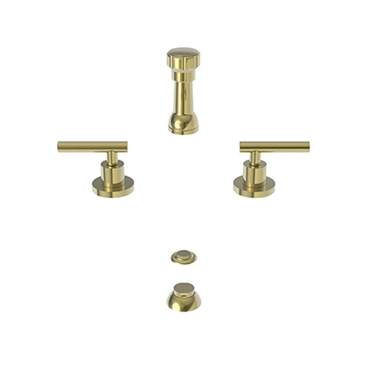 Bidet Faucet East Linear 2 Lever ADA Polished Chrome - Frankwebs