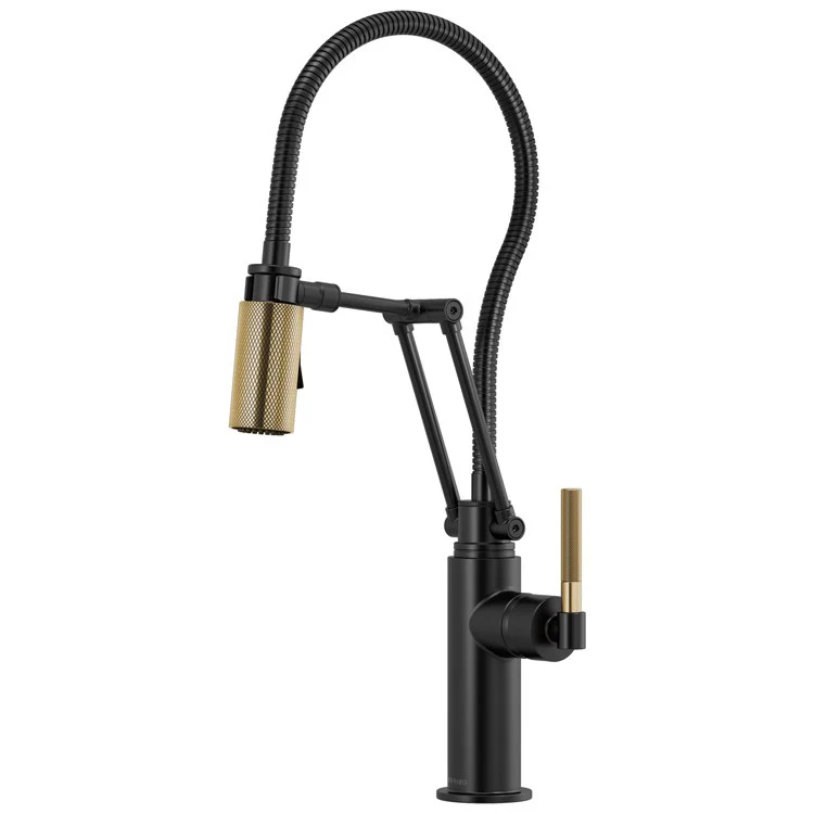 Kitchen Faucet Litze with Finished Hose 1 Round Lever ADA Brilliance Luxe Gold 1.8 Gallons per Minute - Frankwebs