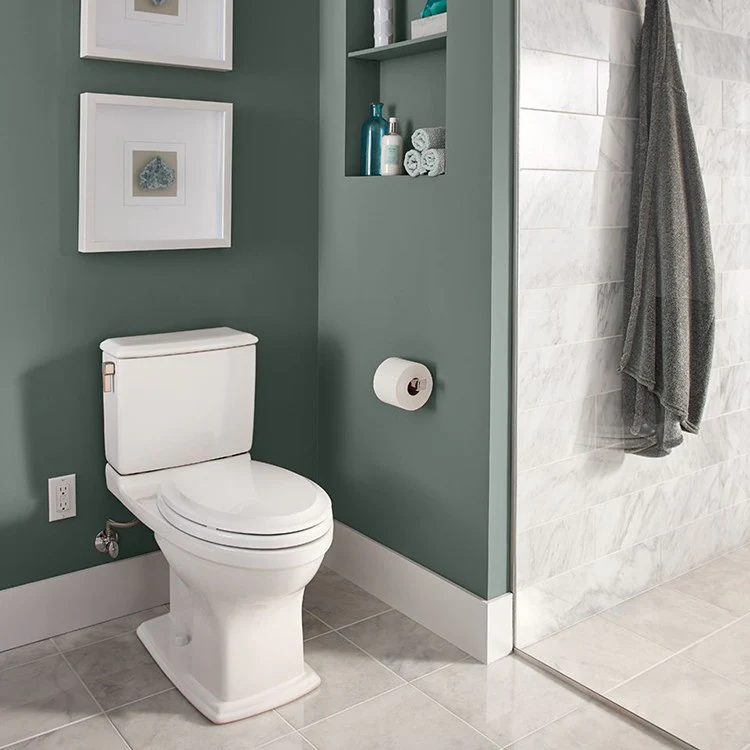 Connelly Close Coupled Elongated Toilet Bowl Only - Frankwebs