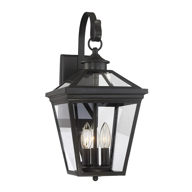 Ellijay Three-Light Outdoor Wall Mount Lantern - Frankwebs