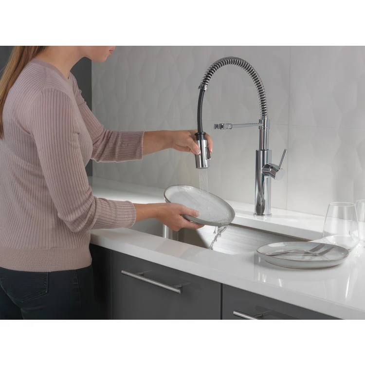 Kitchen Faucet Antoni 1 Lever ADA Chrome Pull Down Spring - Frankwebs