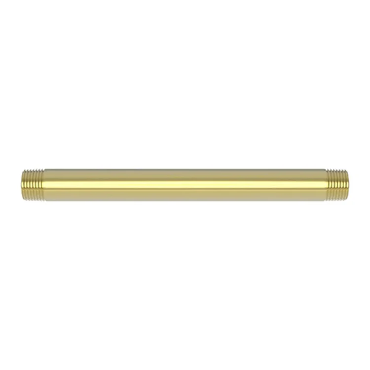 Shower Arm Polished Brass Uncoated Living 8 Inch 1/2