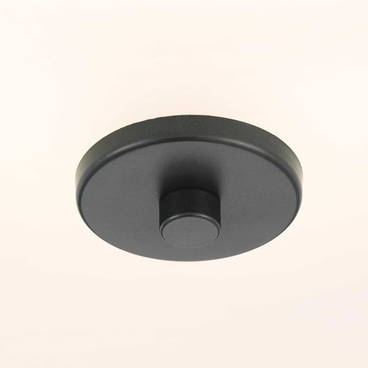 Inspire Two-Light Flush Mount Ceiling Fixture - Frankwebs