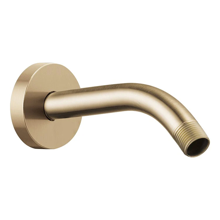 Replacement Shower Arm and Flange - Frankwebs