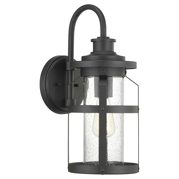 Haslett Single-Light Outdoor Medium Wall Lantern - Frankwebs
