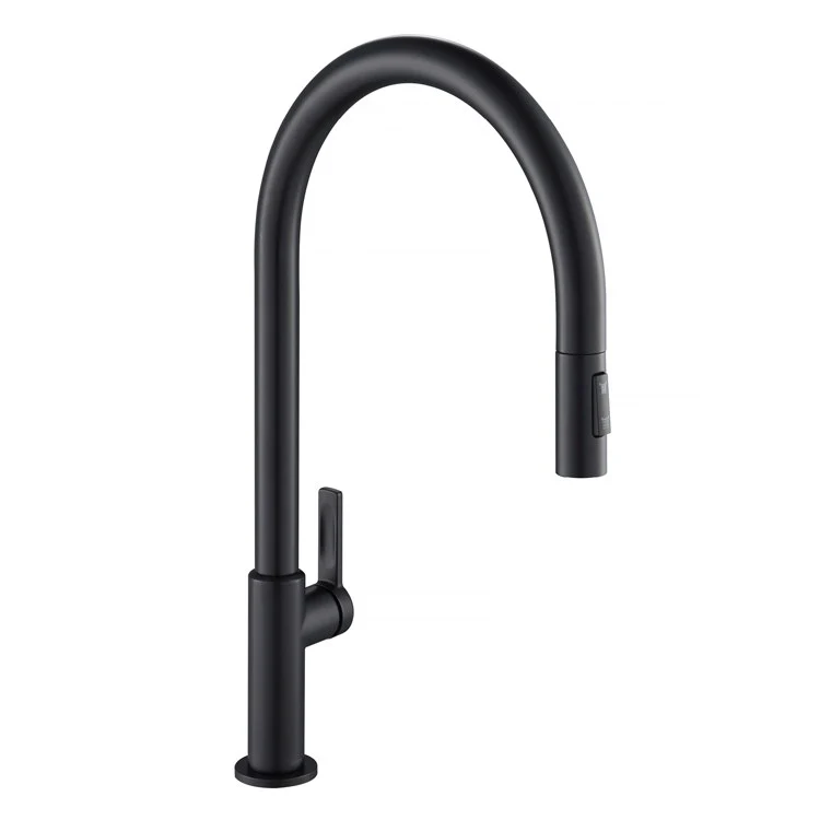 Oletto High-Arc Single Handle Pull Down Kitchen Faucet - Frankwebs