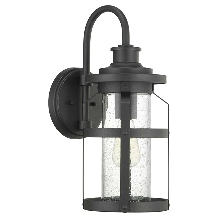 Haslett Single-Light Outdoor Medium Wall Lantern - Frankwebs