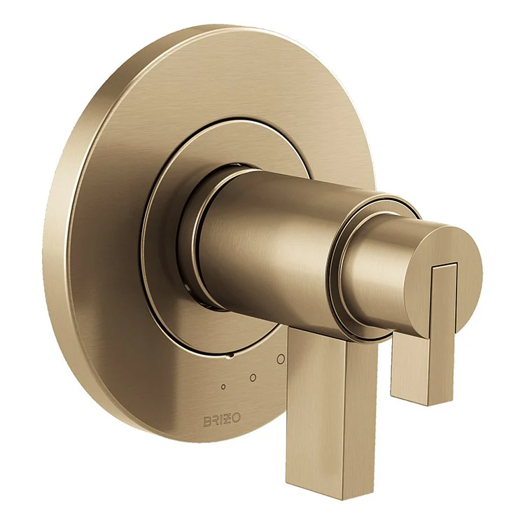 Litze Replacement Lever Handle for TempAssure Thermostatic Valve - Frankwebs