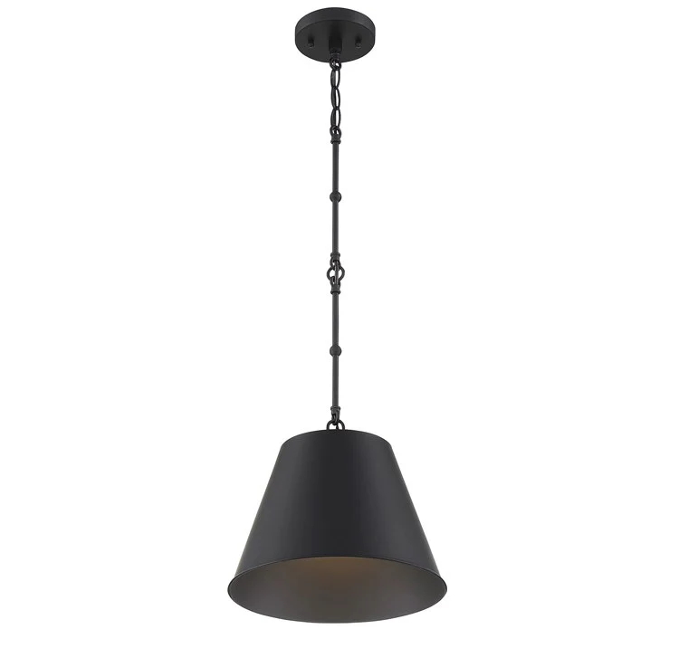 Alden Single-Light Pendant - Frankwebs
